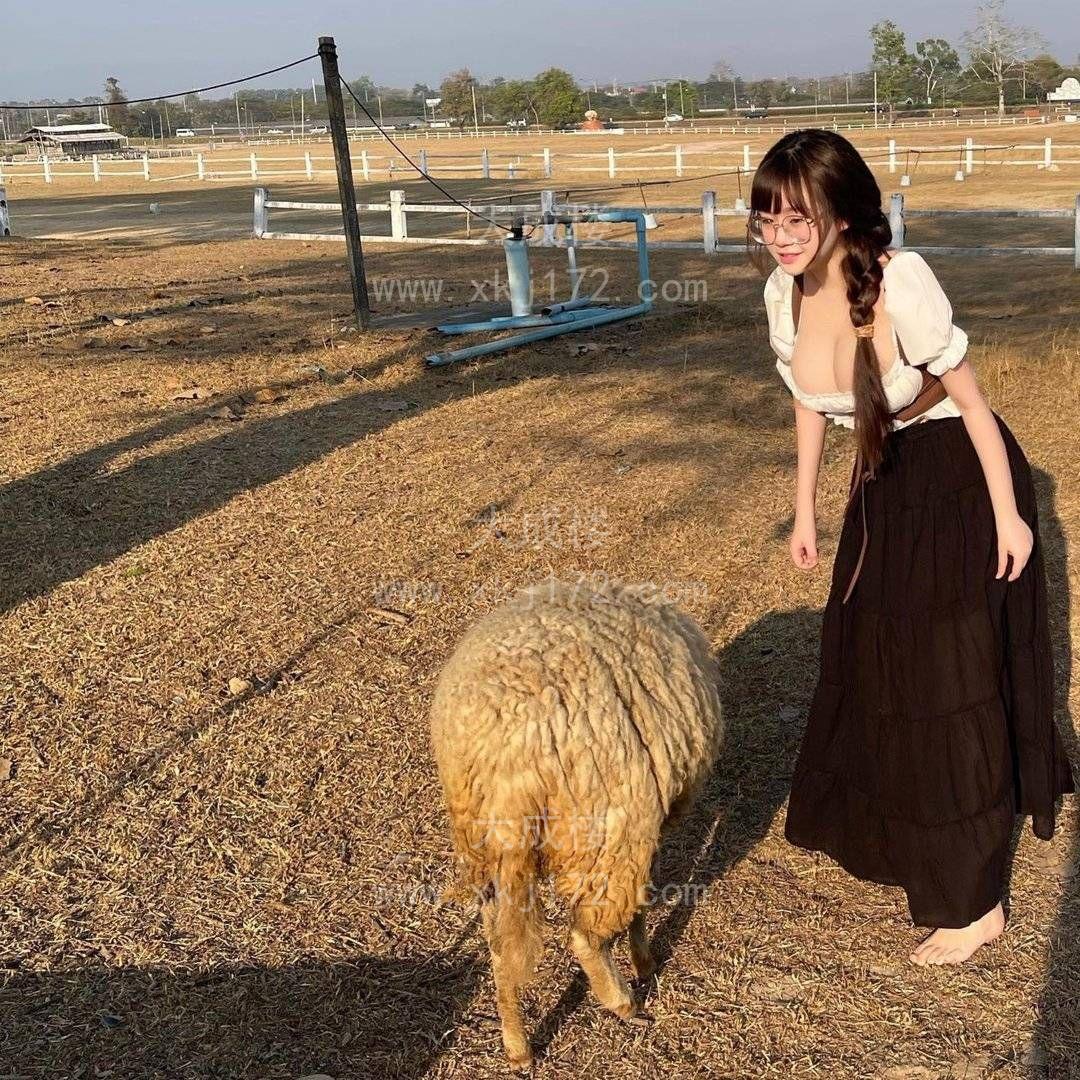 白云做主人的狗听从一切指令