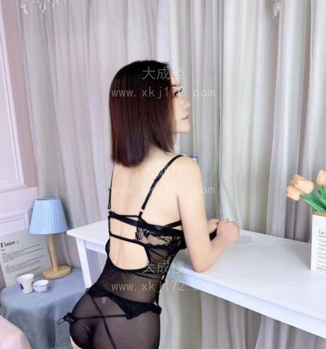 海珠南洲小野猫